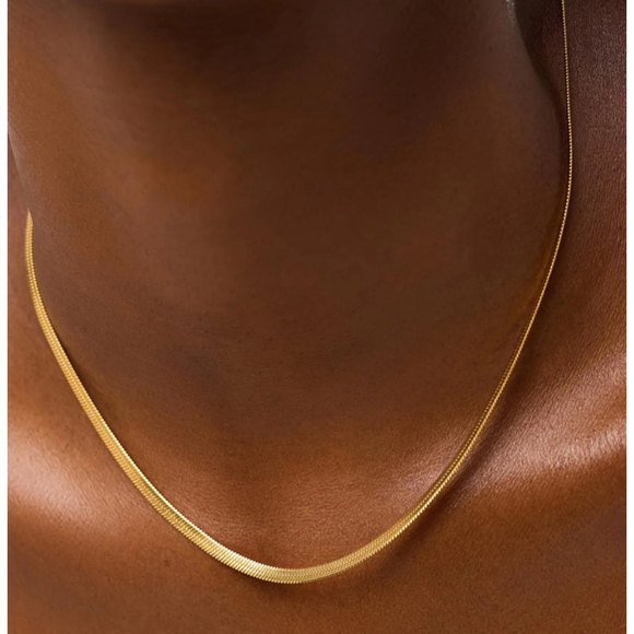 NWT - Ana Luisa Ina Herringbone Chain Necklace 17" 14K Gold Plated + $30 coupon - Picture 2 of 15